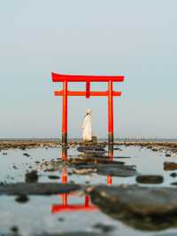 【佐賀】ここ知ってますか？海に浮かぶ幻想的な海中鳥居⛩🌊 
