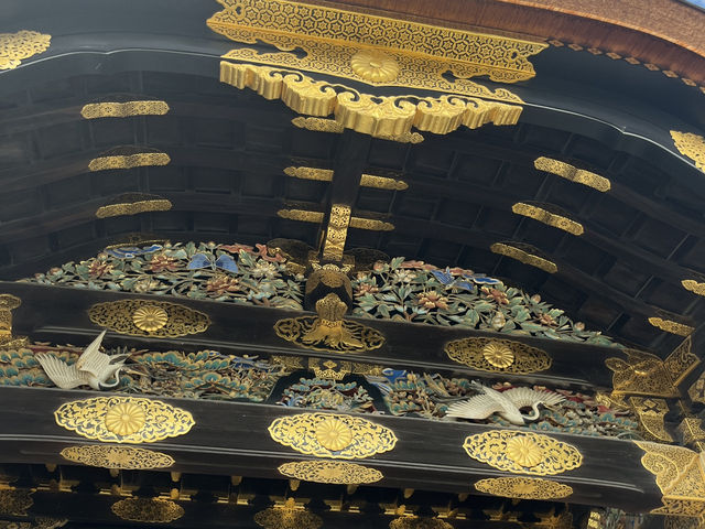 京都二條城｜德川家族廣闊的城池