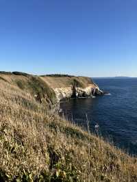 魅力満点　城ヶ島