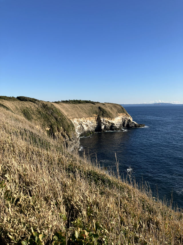 魅力満点　城ヶ島