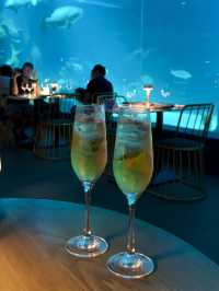 A Unique Dining Experience at Aquadining by Cebu Ocean Park