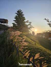 2 วัน 1 คืน ไฮตากแลนด์ – แบบชิลๆ