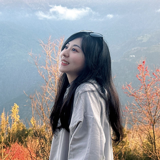 去露營吧！新竹五峰竹鷹露營區🏕️隨時變換景色的高海拔營區推薦！