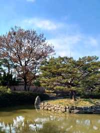 고즈넉한 연못이 어우러진 그림 같은 풍경 🌿🏯