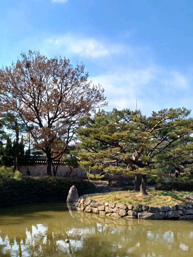 고즈넉한 연못이 어우러진 그림 같은 풍경 🌿🏯