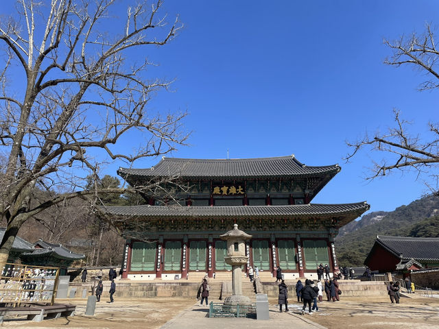 충북 보은에서 만난 유네스코 유산 법주사