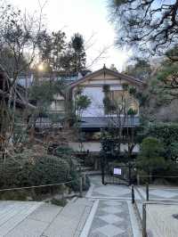 「紫陽花寺」寧靜禪修 鎌倉明月院 #日本古都