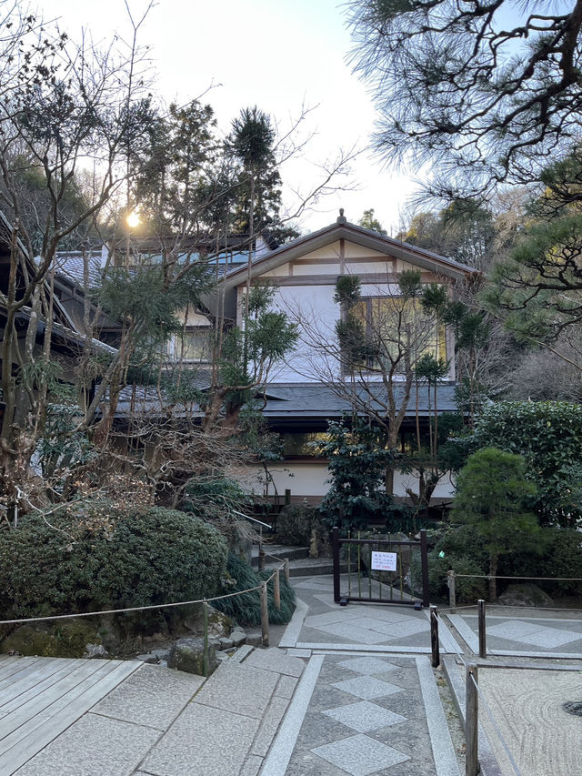 「紫陽花寺」寧靜禪修 鎌倉明月院 #日本古都
