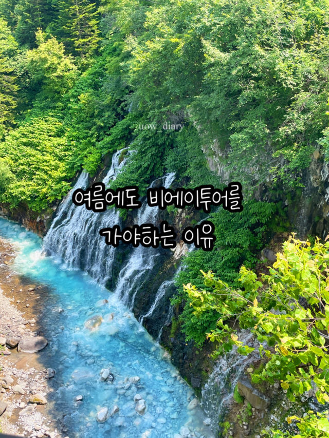 비에이투어여행지 | 여름에도 비에이 투어를 가는 이유