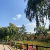 서울 용산 가볼만한 데이트 코스 추천 ▪️용산가족공원