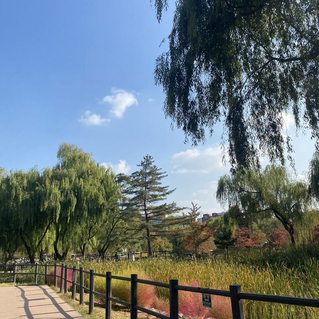서울 용산 가볼만한 데이트 코스 추천 ▪️용산가족공원