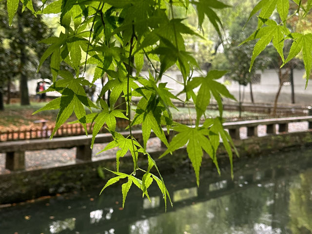 5A觀景真的絕美👍🏻👍🏻👍🏻 5A觀景真的絕美👍🏻👍🏻👍🏻