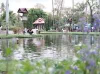 สวนสาธารณะหนองบวกหาด จ.เชียงใหม่