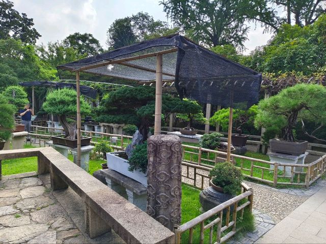 The most relaxable garden- Lingering Garden (LiuYuan Garden)