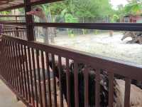 Langkawi Wildlife Park