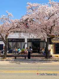 Best Spring Cafés Outside of Seoul in Korea 🌸