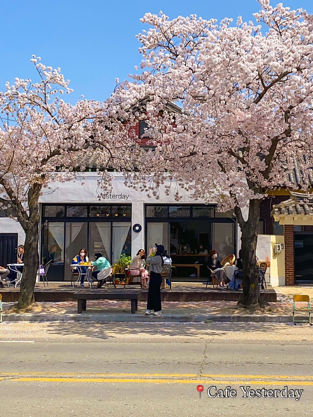 Best Spring Cafés Outside of Seoul in Korea 🌸
