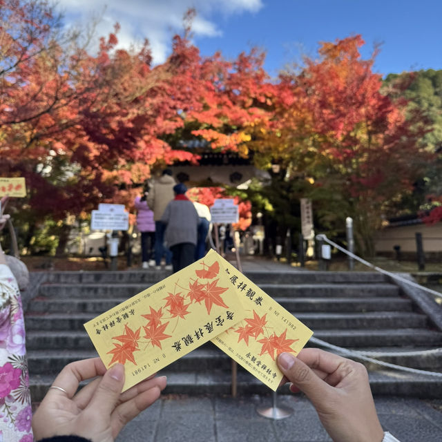 Kyoto - Eikando đừng nên bỏ qua