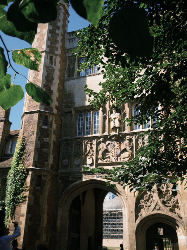 Spring in Cambridge: A Dreamy Riverside Bloom
