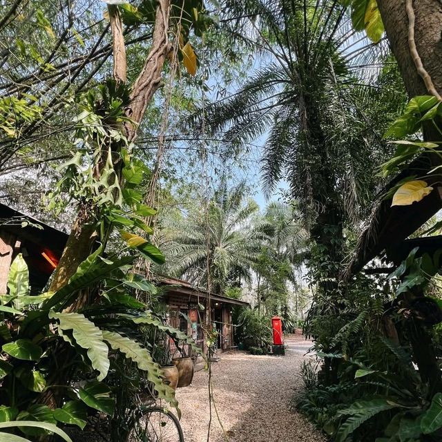 คาเฟ่สไตล์วินเทจ "Long-Dong หลงดง" 🌳🥤