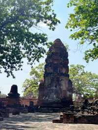 🇹🇭✅ワット・マハタート攻略ガイド｜アユタヤの神秘を体験 🌿