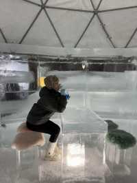 Hokkaido ICE VILLAGE
