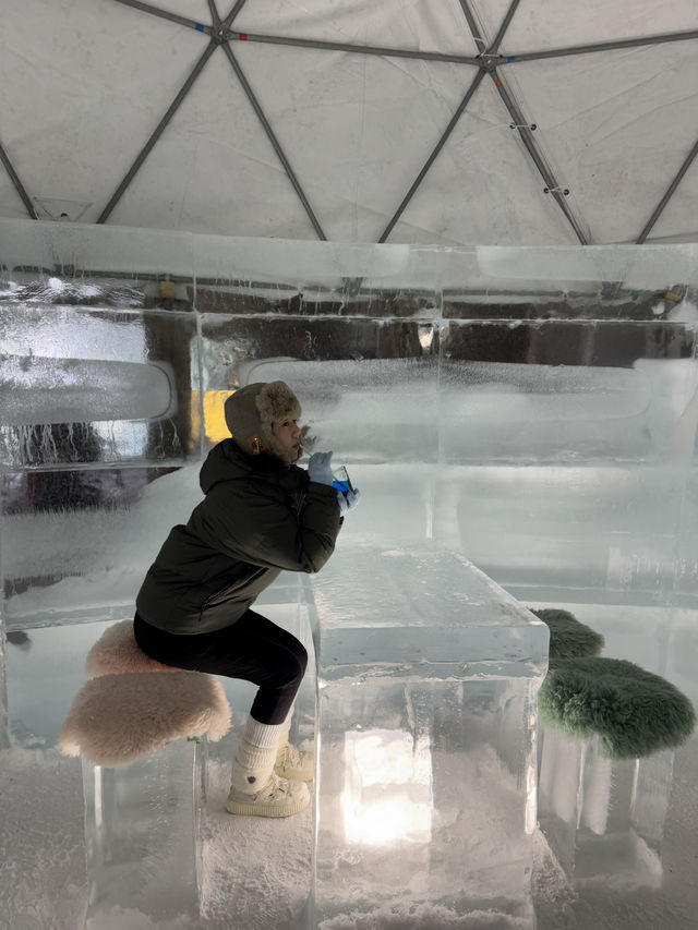 Hokkaido ICE VILLAGE