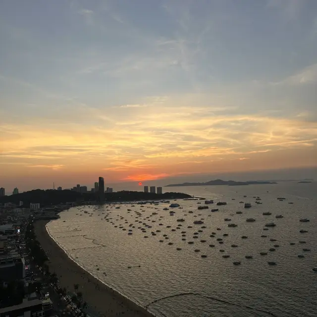 파타야 2일 일정