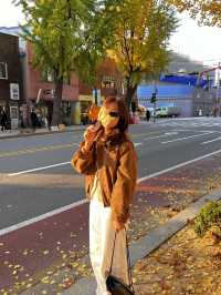 Golden Leaves & Chilly Breeze: Fall in Korea