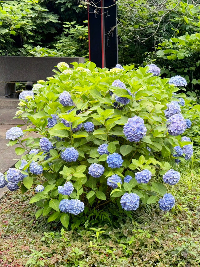 東京：以御茶之水為起點一日遊🏙️