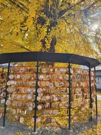 求戀愛的招財貓神社