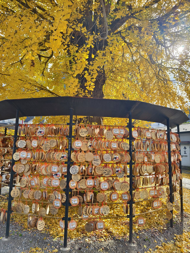 求戀愛的招財貓神社
