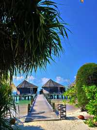 💙 *Turquoise waters, powdery sands, and endless skies… paradise found.*  