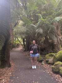 Tasmania Explorer