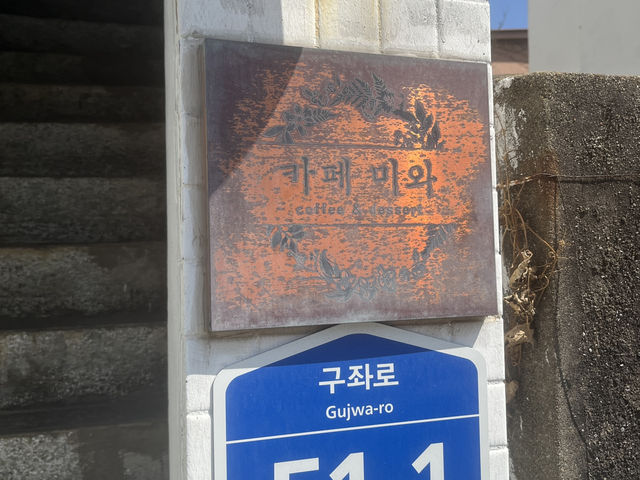 제주 동쪽 1박 2일 뚜벅이 코스🍰 세화해변에서 공항까지✈️
