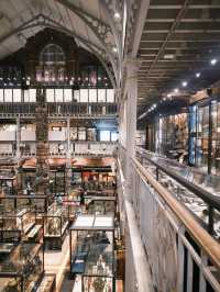 Pitt Rivers Museum: A Treasure Trove of Curiosities