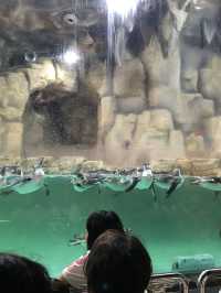 Sea World Ancol, Samudra and Bird Park