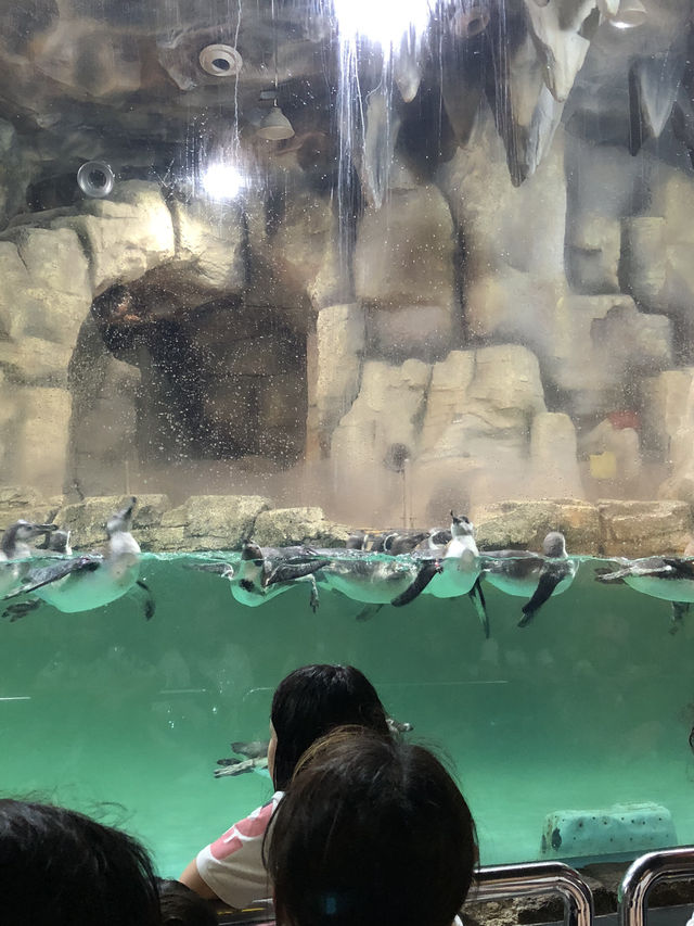 Sea World Ancol, Samudra and Bird Park