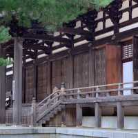 天叟禪寺～心之靜謐