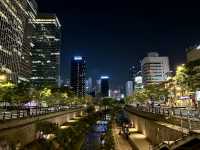 3 Days in Seoul: Palaces, History & Stunning Views