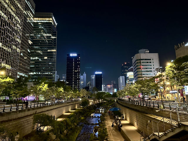 3 Days in Seoul: Palaces, History & Stunning Views