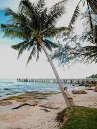koh kood paradise beach resort