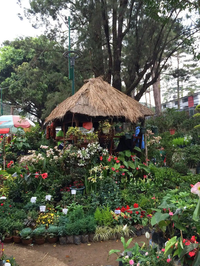 Wright Park