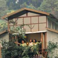 Mori Natural Farm โมริ เนเชอรัลฟาร์ม เชียงใหม่ 🏮🛖