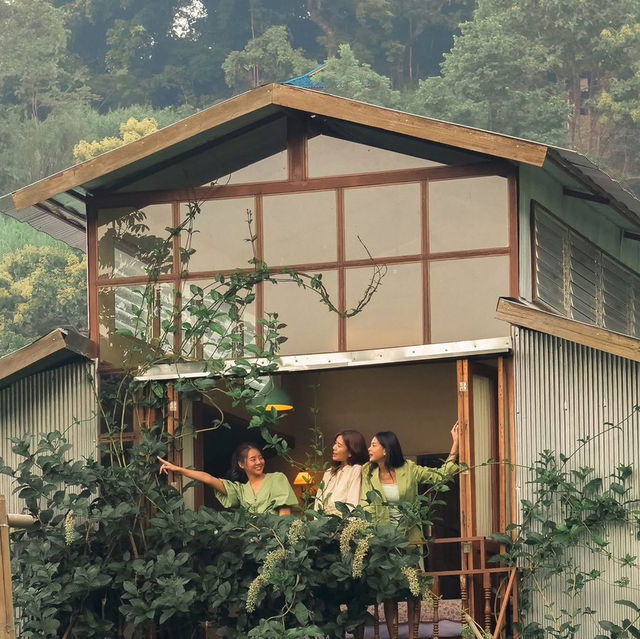 Mori Natural Farm โมริ เนเชอรัลฟาร์ม เชียงใหม่ 🏮🛖