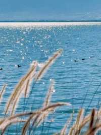 Erhai Lake: A Serene Escape into Nature and History
