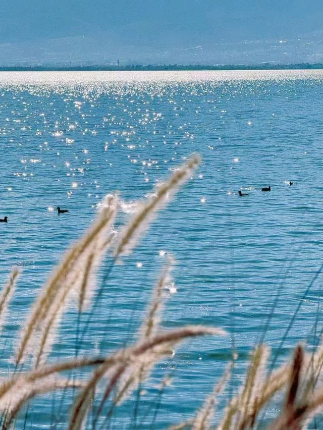 Erhai Lake: A Serene Escape into Nature and History