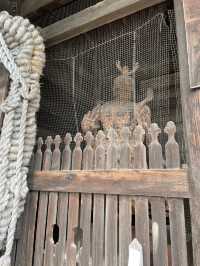 【香川】歴史と文化を感じる寺院・志度寺