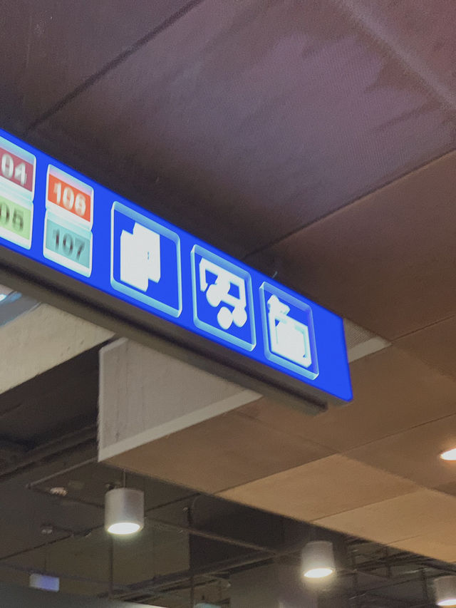 베른 당일치기 여행, 짐보관 코인락커 위치 및 가격 