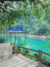 Dinghu Mountain-Perfect Blend of Nature and Spirituality